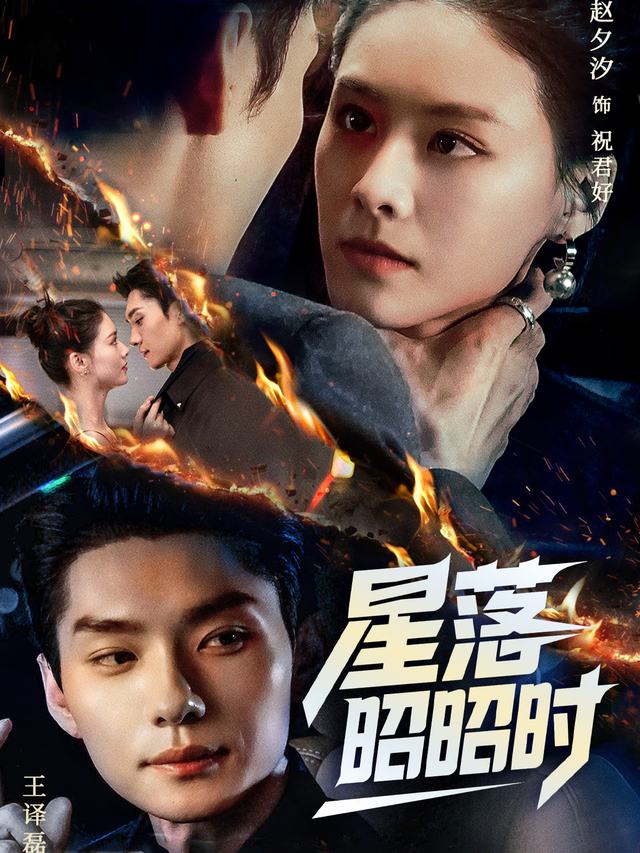 星落昭昭时封面