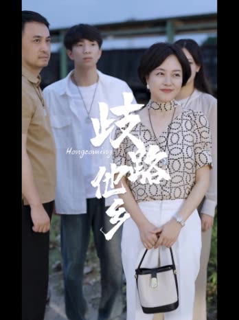 歧路他乡封面