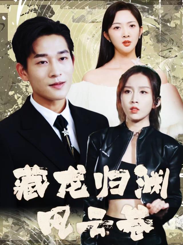 藏龙归渊风云卷封面