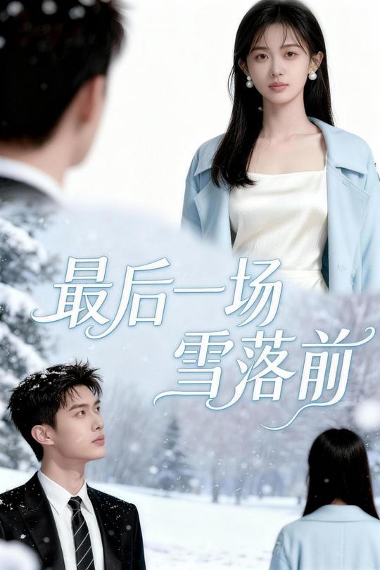 最后一场雪落前封面