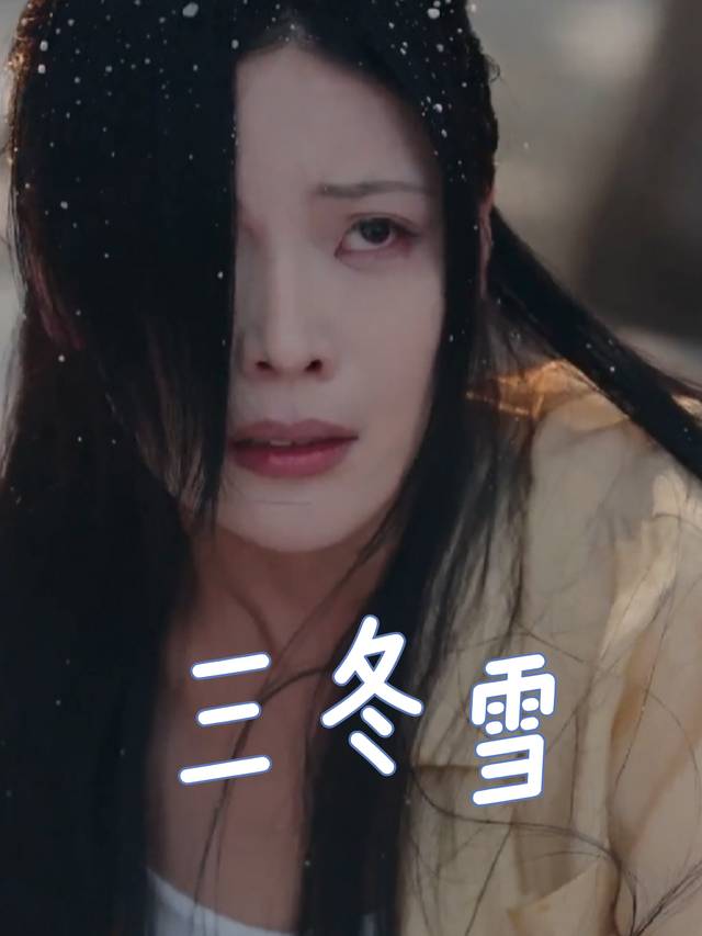 三冬雪封面