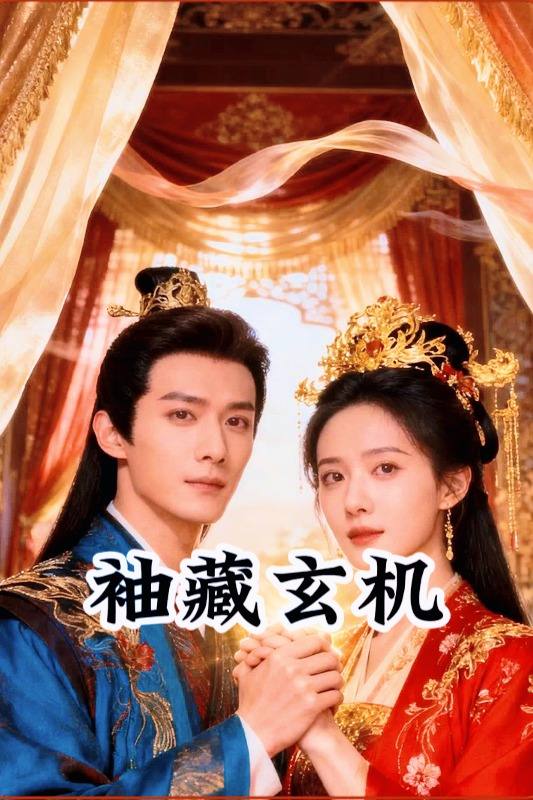 袖藏玄机封面