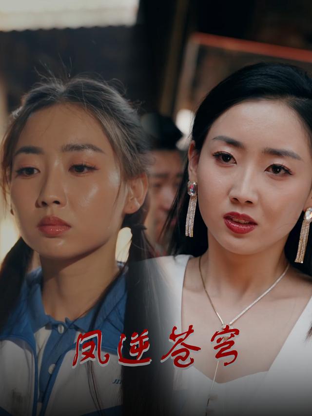 凤逆苍穹封面