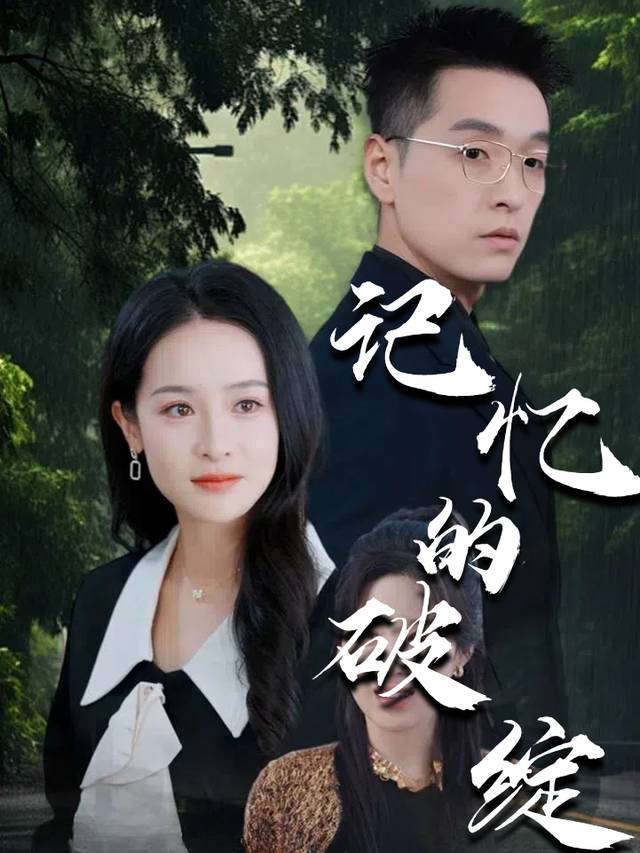 记忆的破绽封面
