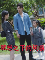 禁忌之下的风暴封面