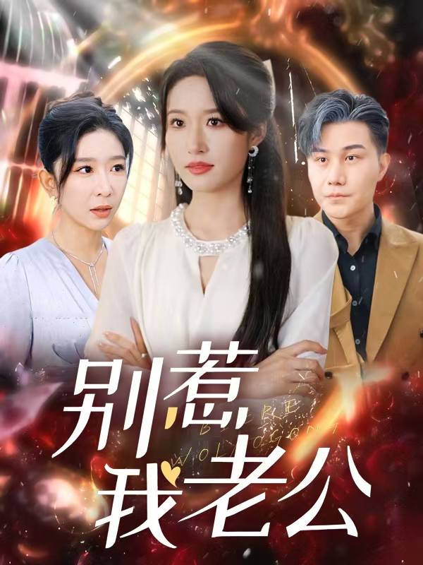 别惹我老公封面