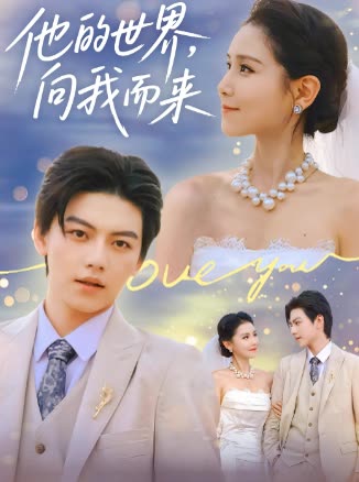 他的世界，向我而来封面