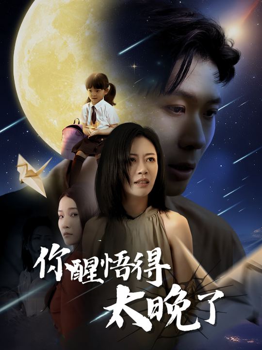 你醒悟得太晚了封面