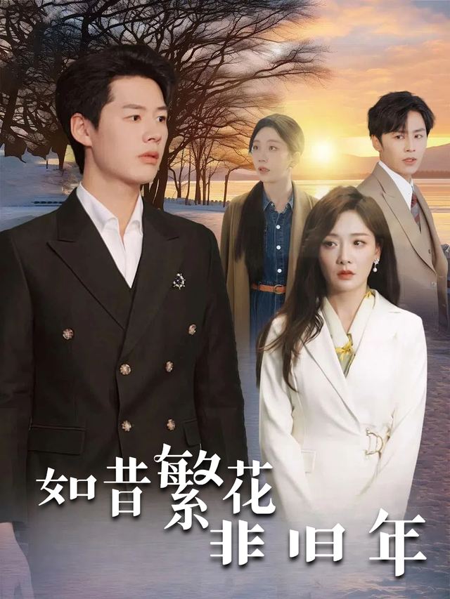 如昔繁花非旧年封面