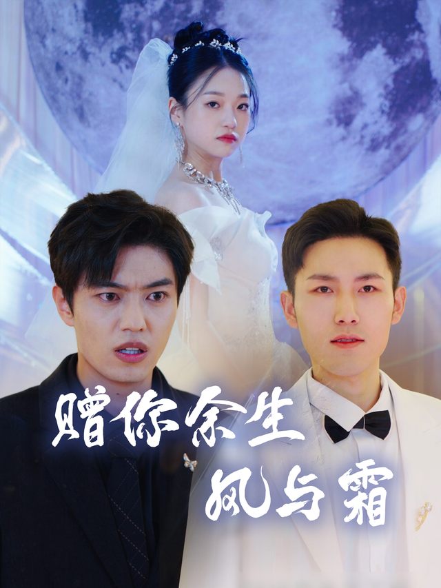 赠你余生风与霜封面