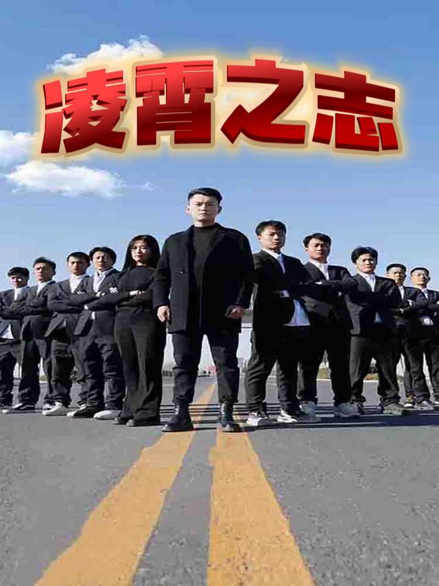 凌霄之志封面