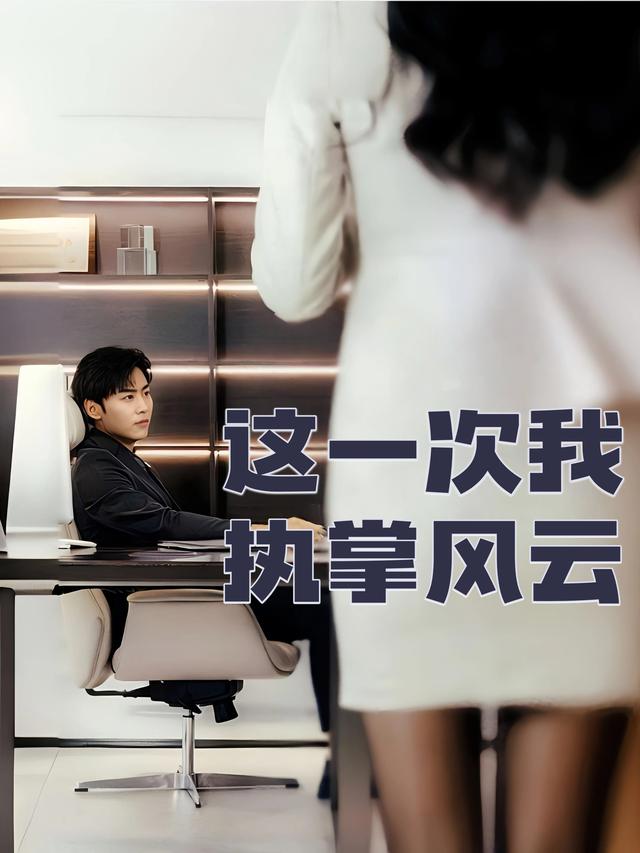 这一次我执掌风云封面