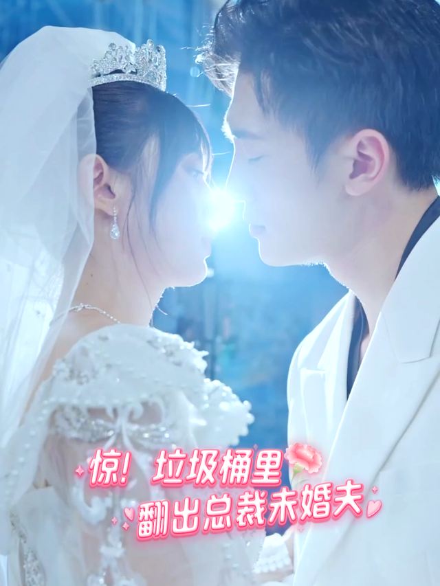 惊!垃圾桶里翻出总裁未婚夫封面