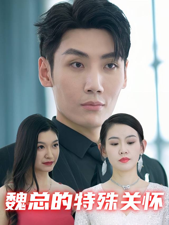 魏总的特殊关怀封面