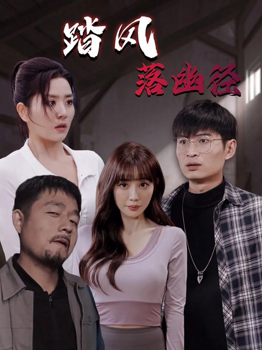 踏风落幽径封面