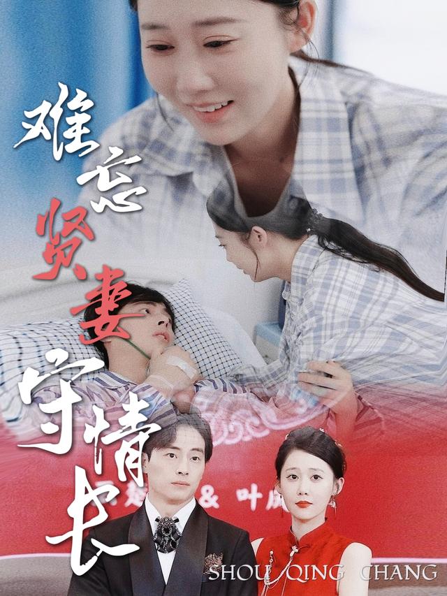 难忘贤妻守情长封面