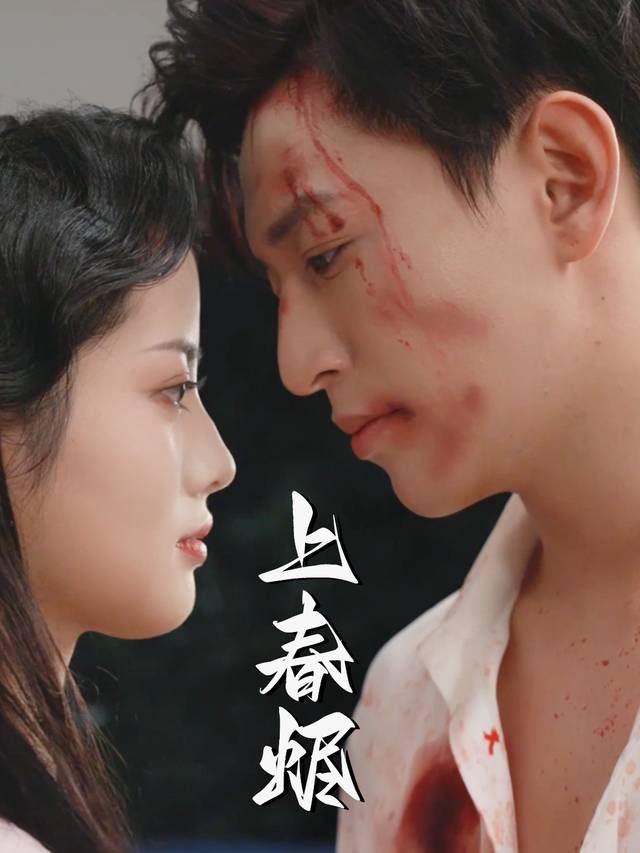 上春烬封面