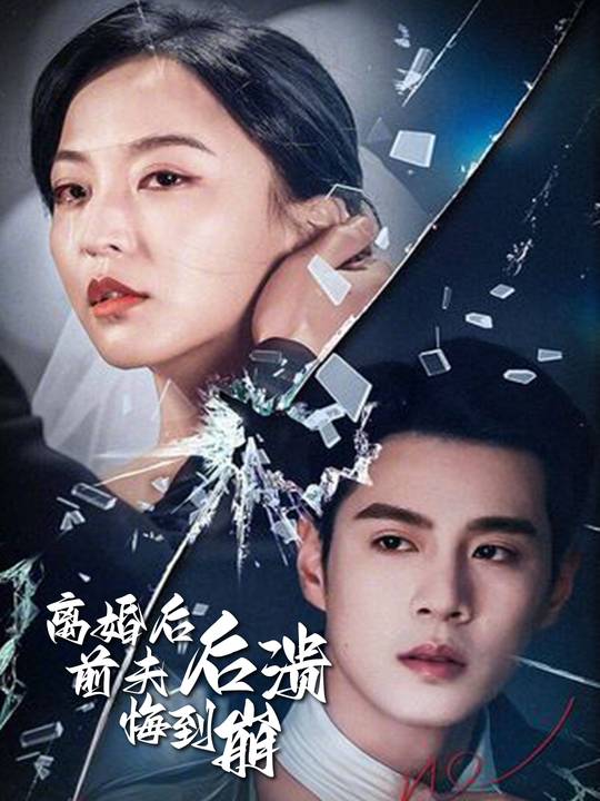 离婚后，前夫后悔到崩溃封面