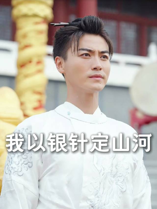 我以银针定山河封面