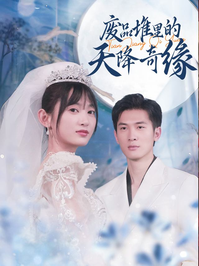 废品堆里的天降奇缘封面