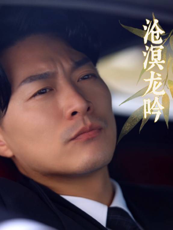 沧溟龙吟封面