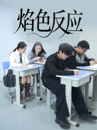 焰色反应封面