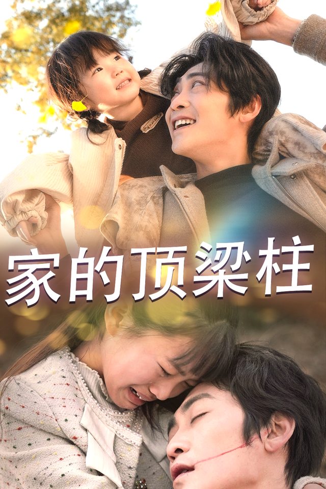 家的顶梁柱封面