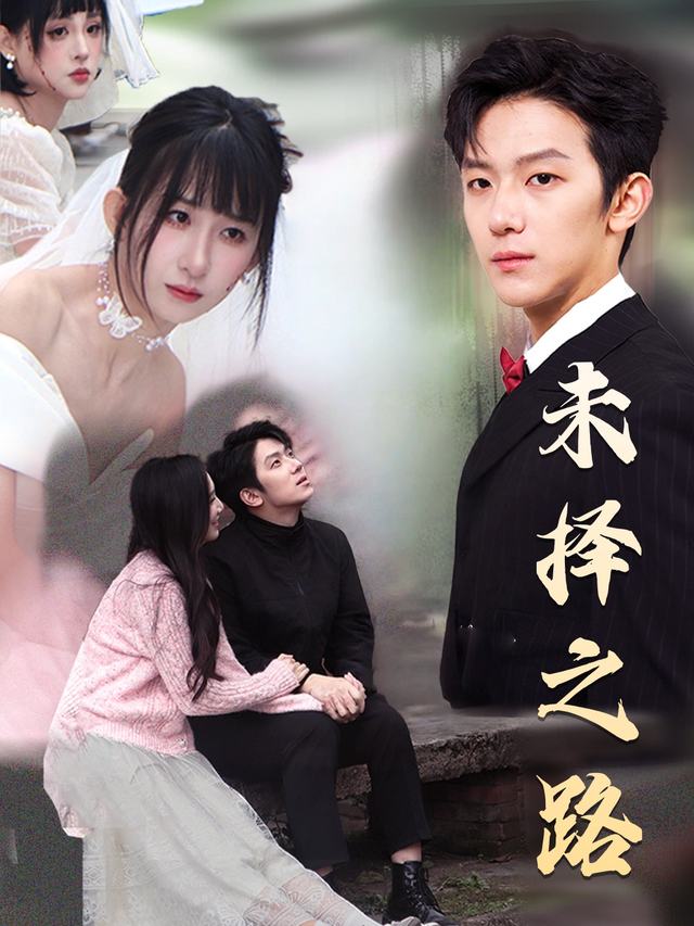 未择之路封面