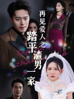 再见爱人之踏平渣男一家封面