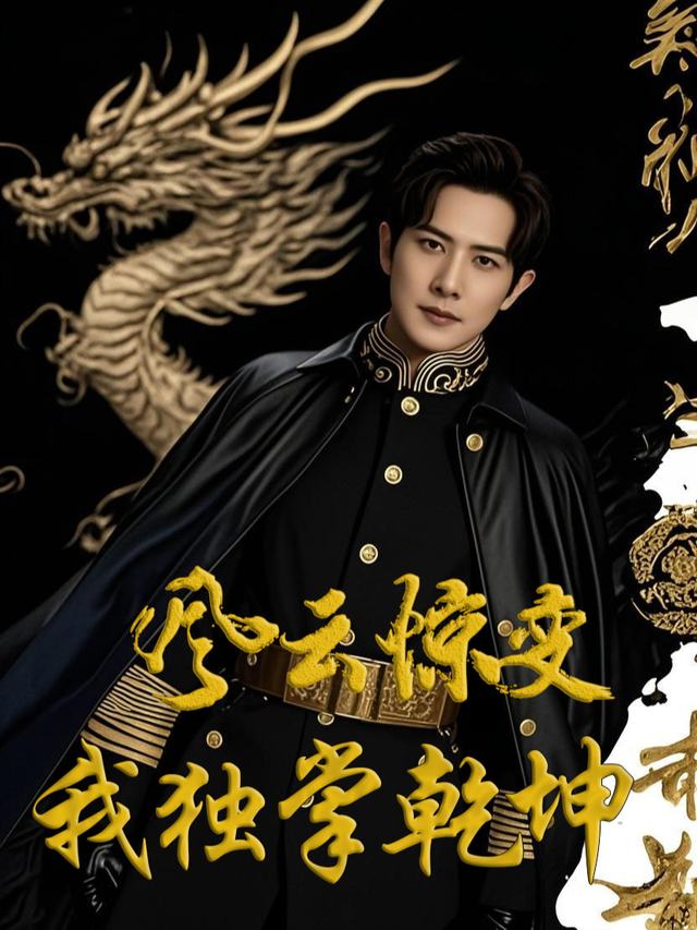 风云惊变我独掌乾坤封面