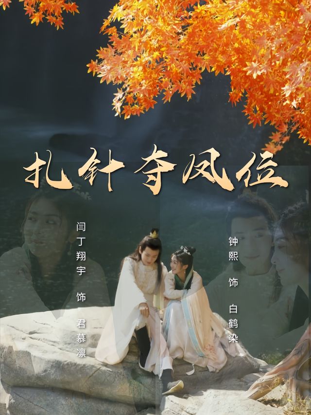 扎针夺凤位封面