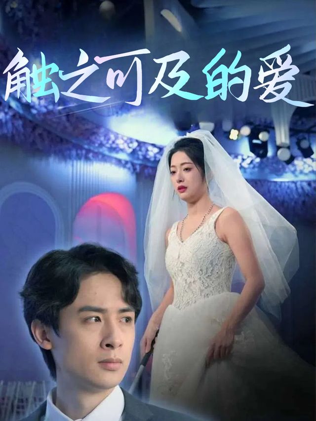触之可及的爱封面