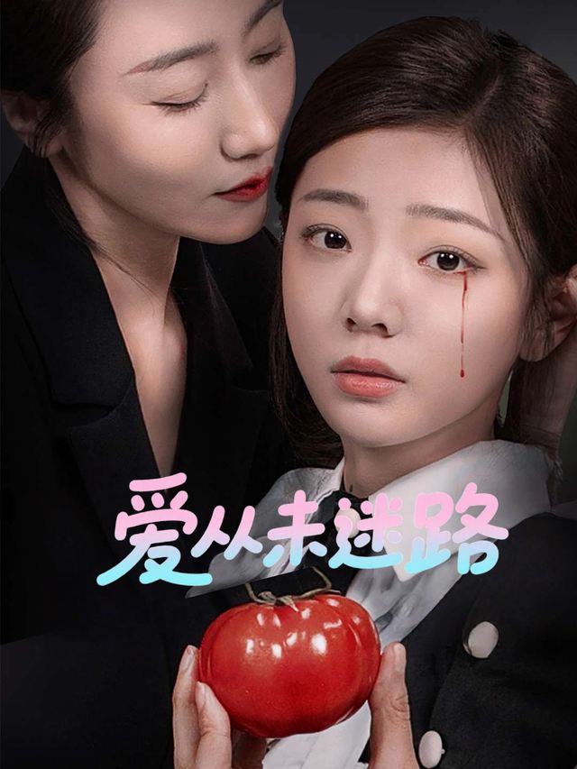 爱从未迷路封面