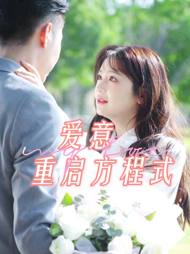 爱意重启方程式封面