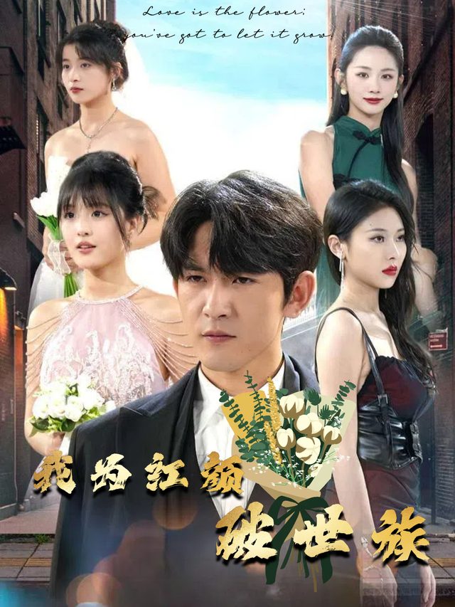 我为红颜破世族封面