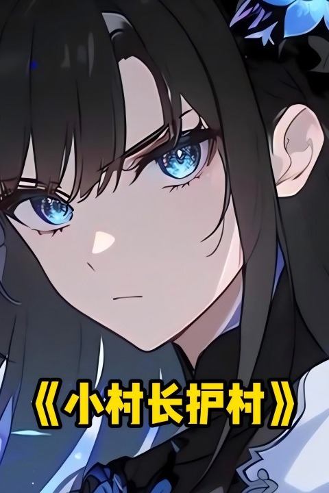 小村长护村封面
