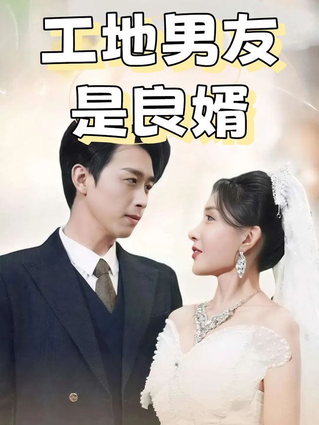 工地男友是良婿封面