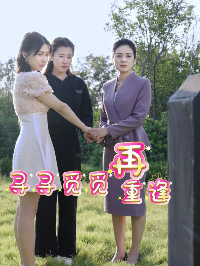 寻寻觅觅再重逢封面