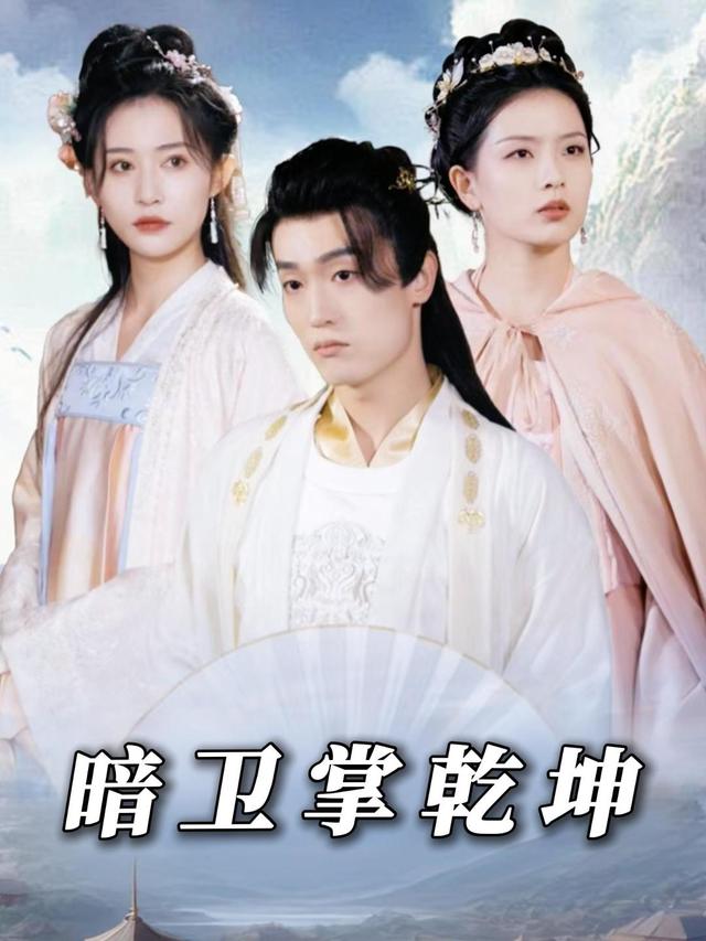 暗卫掌乾坤封面