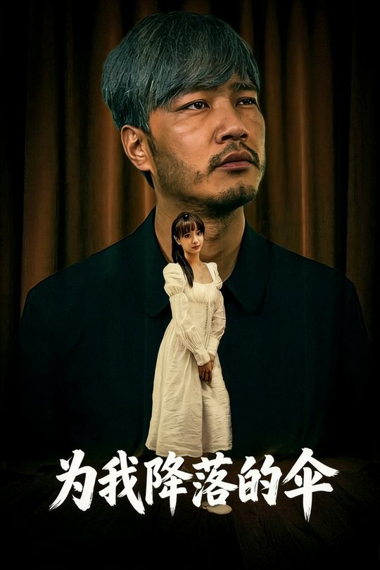 为我降落的伞封面