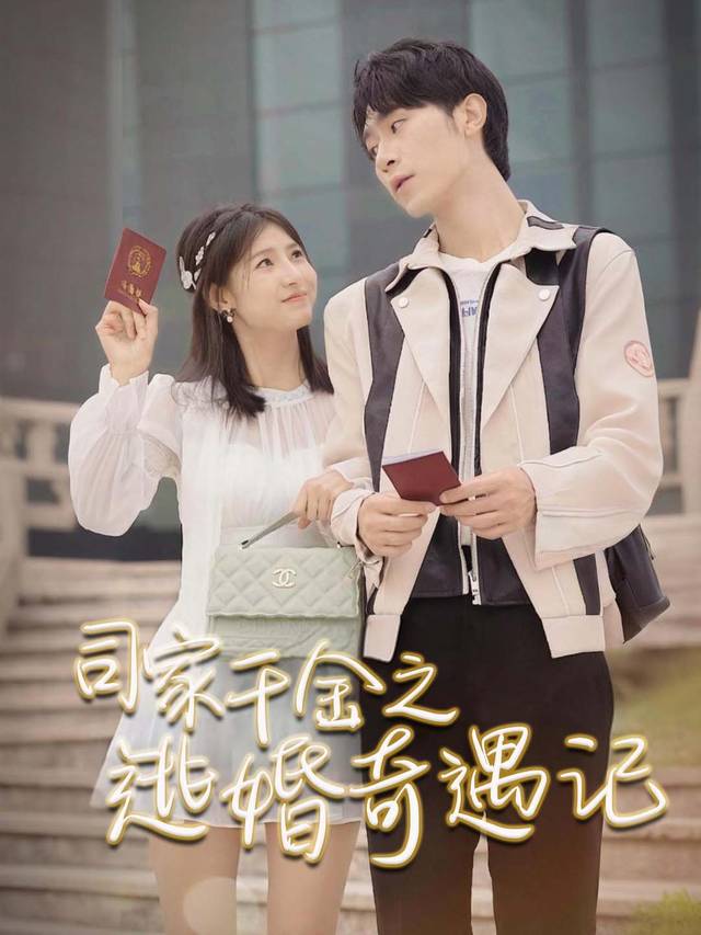 司家千金之逃婚奇遇记封面