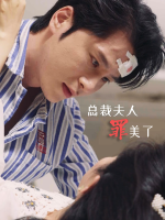 总裁夫人罪美了封面