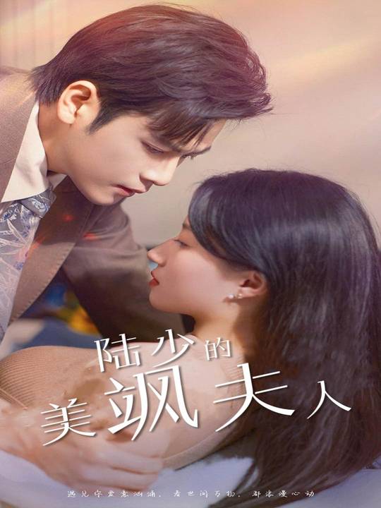 陆少的美飒夫人封面