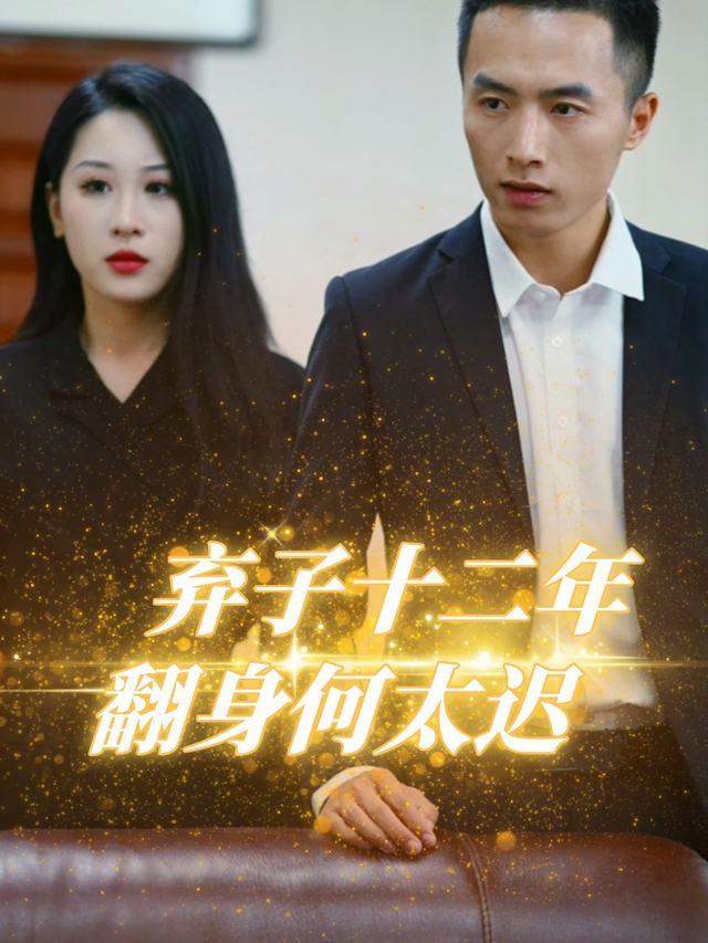 弃子十二年,翻身何太迟封面