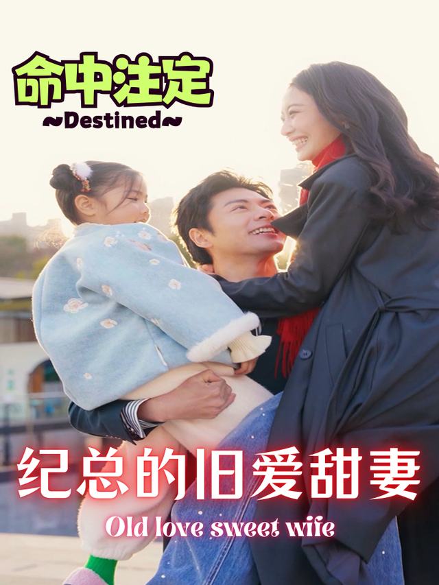 命中注定纪总的旧爱甜妻封面