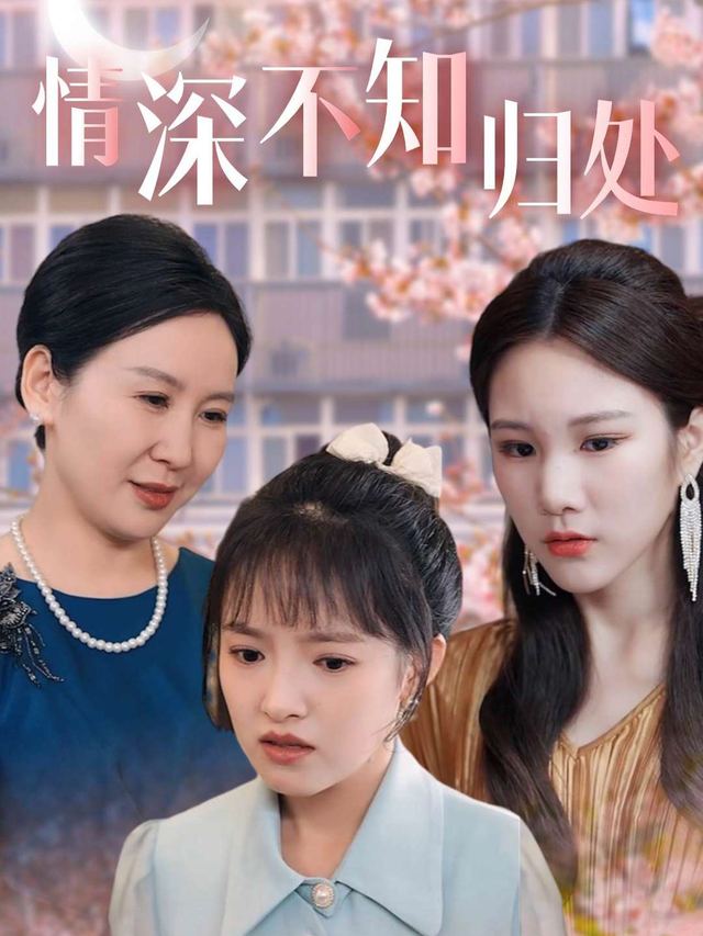 情深,不知归处封面