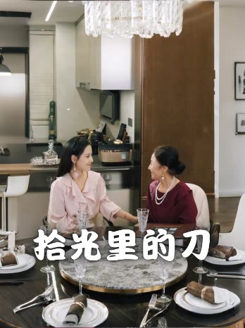 拾光里的刀封面