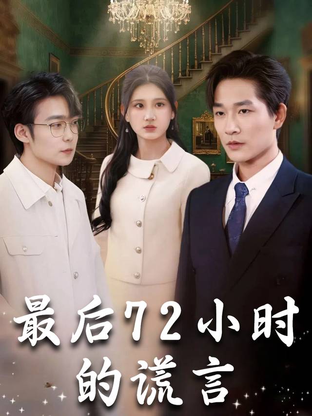 最后72小时的谎言封面