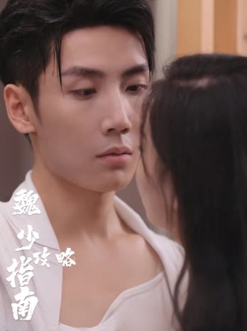魏少攻略指南封面