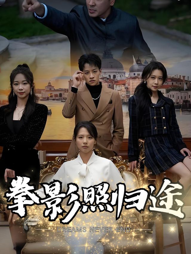 拳影照归途封面